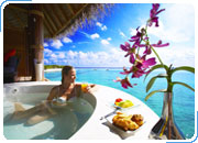. ISLAND HIDEAWAY AT DHONAKULHI MALDIVES SPA RESORT & MARINA 5*LUXE -    ,    Small Luxury Hotels of the World. : 15.04 - 20.12.2010 .