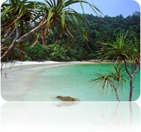 malaysia-holidays.jpg