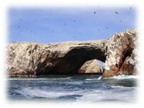 ������� ����������.JPG