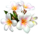 Ceremony_tropic_flowers.png