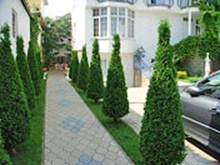 ��������: http://www.alean.ru/public/images/econom/duet_2.jpg