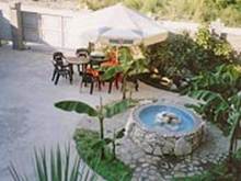 ��������: http://www.alean.ru/public/images/econom/cvetochnaya_3.jpg