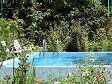 ��������: http://www.alean.ru/public/images/econom/azaliya_2.jpg