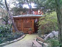 : : http://www.alean.ru/public/images/econom/park_otel_yalta_3.jpg