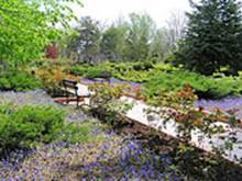 : : http://www.alean.ru/public/images/econom/energetik_zbk_2.jpg