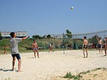 : : http://www.alean.ru/public/images/econom/krasnaya_gvozdika_3.jpg