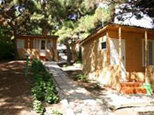 : : http://www.alean.ru/public/images/econom/noviy_svet_3.jpg