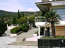 : : http://www.alean.ru/public/images/econom/noviy_svet_5.jpg