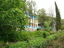 : : http://www.alean.ru/public/images/econom/almaz_vbk_1.jpg