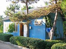 : : http://www.alean.ru/public/images/econom/magarach.jpg