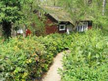 : : http://www.alean.ru/public/images/econom/magarach_1.jpg