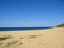 : : http://www.alean.ru/public/images/econom/odissey_3.jpg