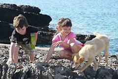 Черногория - великолепное место для детского отдыха. Наши детские лагеря реализуют активный и всесторонне познавательный отдых для Ваших детей