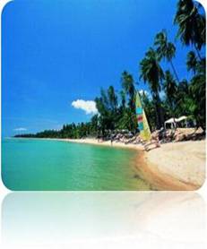 http://gigatour.files.wordpress.com/2011/03/samui-paradise-beach-resort.jpg?w=500&h=330