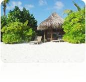 Описание: 1.jpg