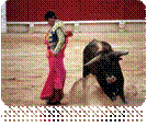 bull.jpg