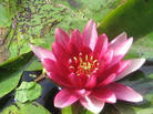 http://images.search-history.yandex.net/get_image?id=bde250eeb8c764c8f1d474a1881094ea