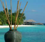 cid:image015.jpg@01CC78FB.78950BE0