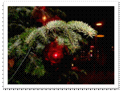 x_9a974530.jpg
