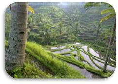 ��������: ��������: \\S-SERVER\diamondtours\������\���������\����\4.jpg