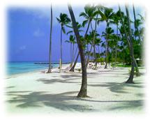 : C:\Users\Diamond\Desktop\  \\4.jpg