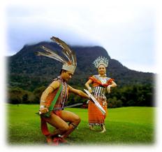 : C:\Users\Diamond\Desktop\  \\175068.jpg