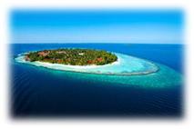 Aerial_01.jpg