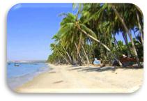 ��������: C:\Users\Diamond\Desktop\�������� ��� ��������\�������\���3.jpg