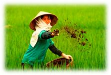 : : : C:\Users\Diamond\Desktop\  \\.jpg