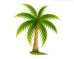 palm-tree