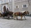 http://mtprofi.ru/VediTour/admin/new/orders_files/11.01.2012/fotos/get_imageCAM90SLO.jpg