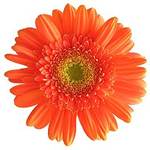 Описание: Описание: cid:image004.jpg@01CCF575.C3F84BF0