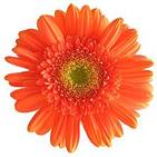 Описание: Описание: cid:image005.jpg@01CCF575.C3F84BF0