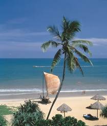 Описание: Beach