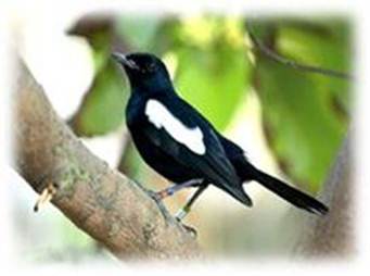 : cid:image008.jpg@01CCE29E.D7C7FDE0