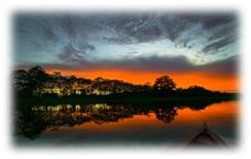 central & amazonia (3).jpg