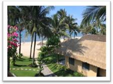 12 A01- Paved path by a Beach Front Bungalow.JPG