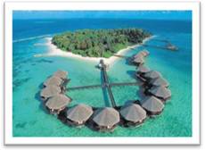 big_maldives2_02022011175600.jpg