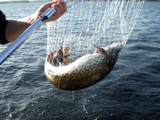 http://www.ecotour-spb.ru/usr/templates/images/icon_Fishing4_Kuus-Hukkala.jpg