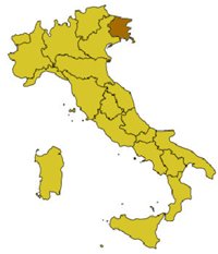 http://www.danko.ru/getmedia/4c5c61e8-b71e-45e8-bd35-9893549935a6/Friuli-Venezia-Giulia.aspx?width=200&height=233