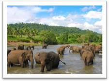 srilanka2.jpg