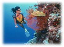 : \\S-SERVER\diamondtours\\  \\5401116001200nurek-ogl.jpg