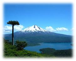 chile_8.jpg