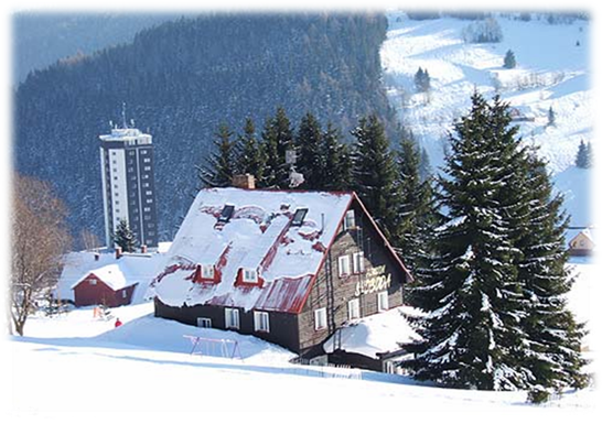 C:\Users\tercia3\Documents\�����\����\�������� ���\foto16.jpg