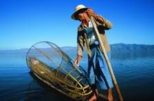 C:\Documents and Settings\Администратор\Рабочий стол\inle_lake_legrower__2.jpg