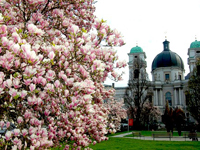 http://www.danko.ru/dankoASPX/media/Send/Austria/0_3bd2f_3454b312_-1-L.jpg