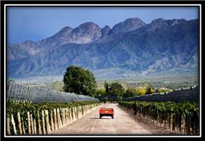 mendoza5.jpg