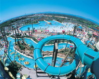 ���� ��������.jpg