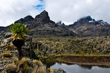 Mount Kenya2 0