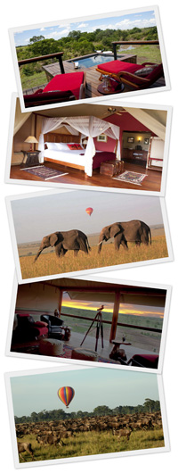 Seven Nights Migration package Starting from USD 4,399 per person sharing